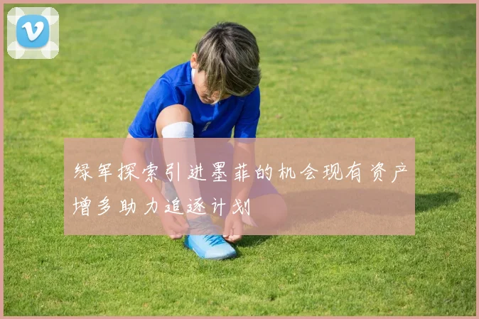 绿军探索引进墨菲的机会现有资产增多助力追逐计划
